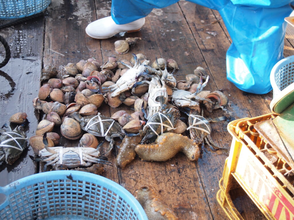 福山市　鮮魚　おすすめ