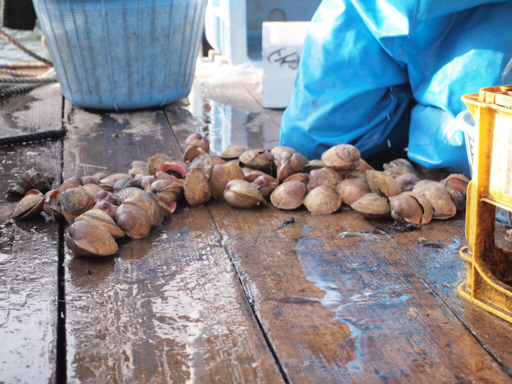 福山市　鮮魚　おすすめ